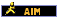 AIM Address